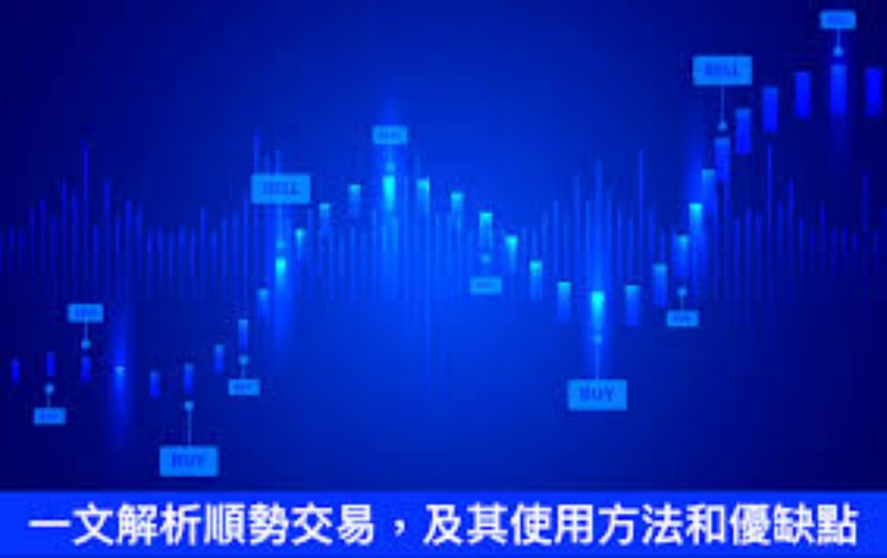 头部公司异动：引领市场变动的先行者