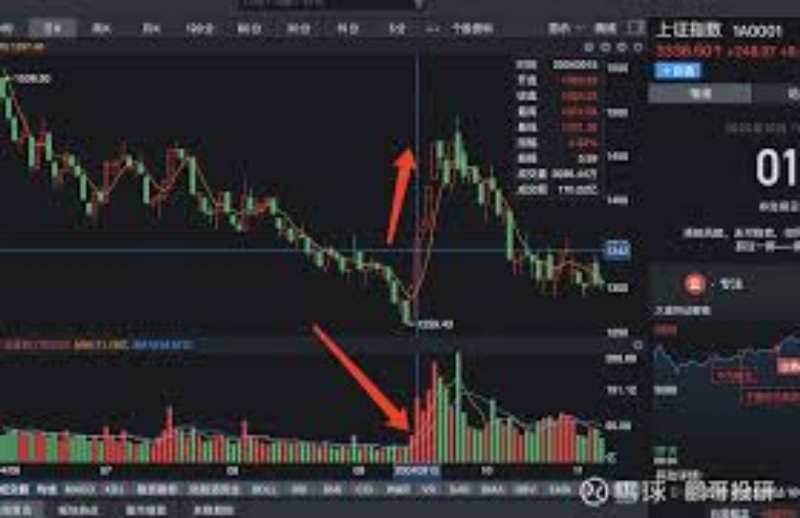 怎样借助市场的力量理解和利用业绩暴增股票的投资机遇。
